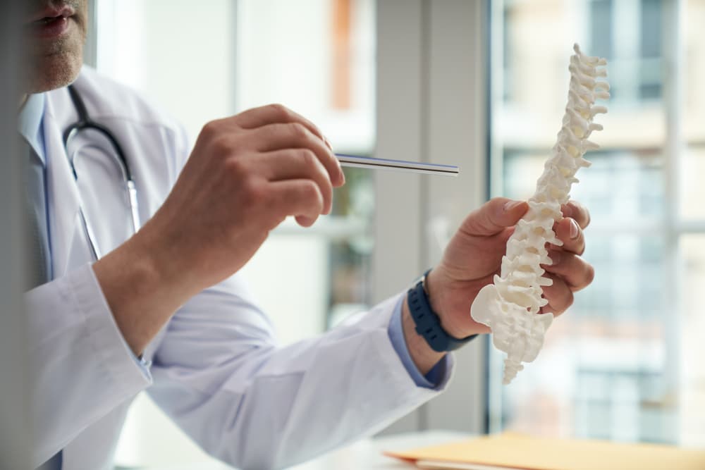 Doctor explaining spinal structure using a model in a clinic, highlighting specific areas.